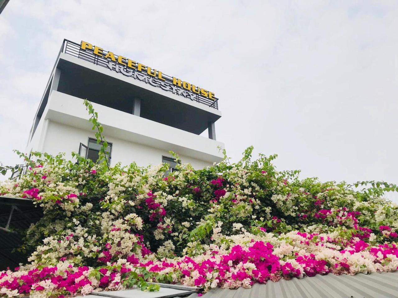Peaceful House Hostel Dong Hoi Exterior foto